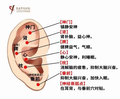 调整大小 微信图片_20230809092723.jpg